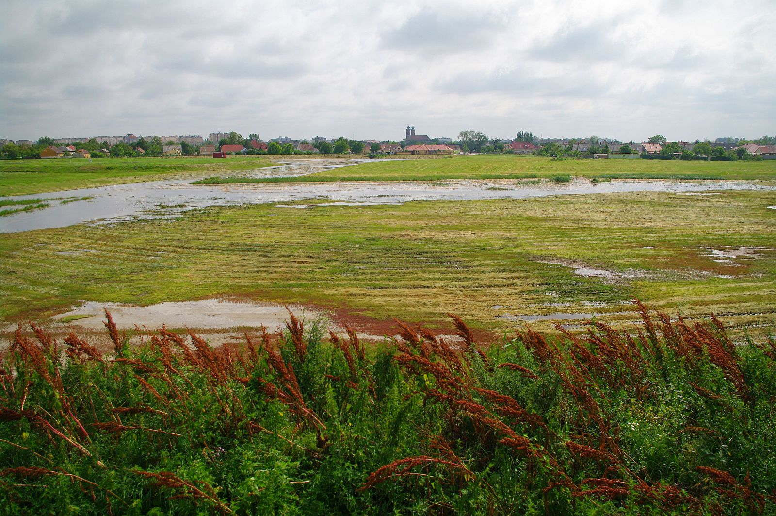 Védett kincsek - Székesfehérvár legújabb védett területeiről
